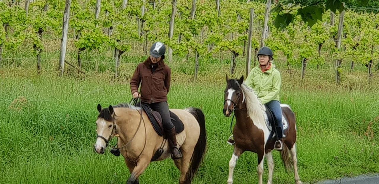 La Villa Des Coteaux Pomport Zewnętrze zdjęcie